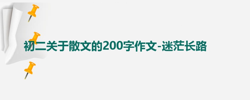初二关于散文的200字作文-迷茫长路