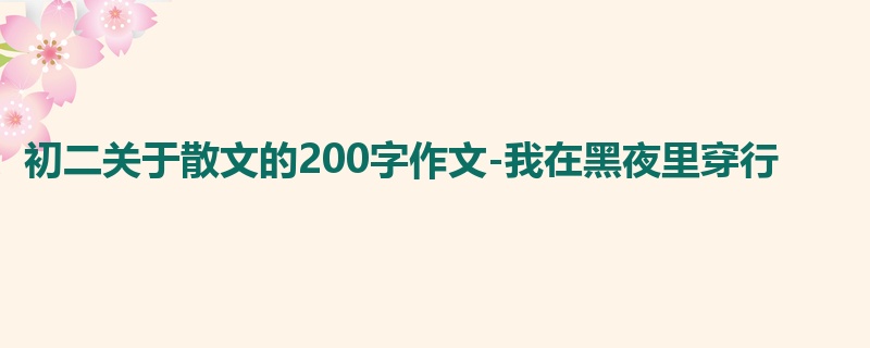 初二关于散文的200字作文-我在黑夜里穿行
