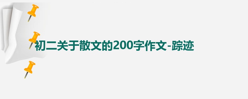 初二关于散文的200字作文-踪迹