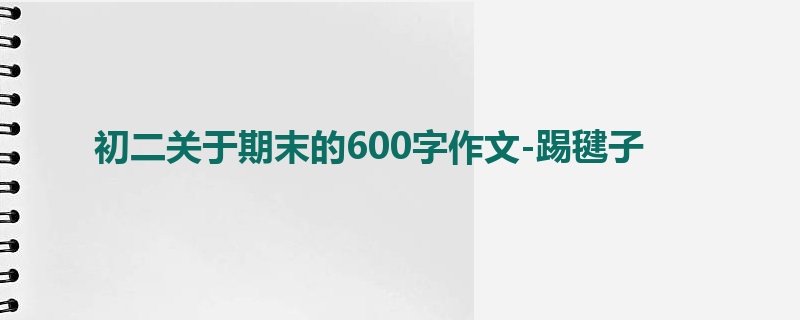 初二关于期末的600字作文-踢毽子