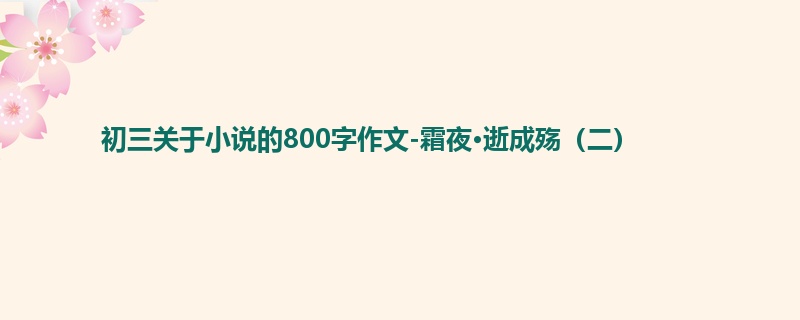 初三关于小说的800字作文-霜夜·逝成殇(二)