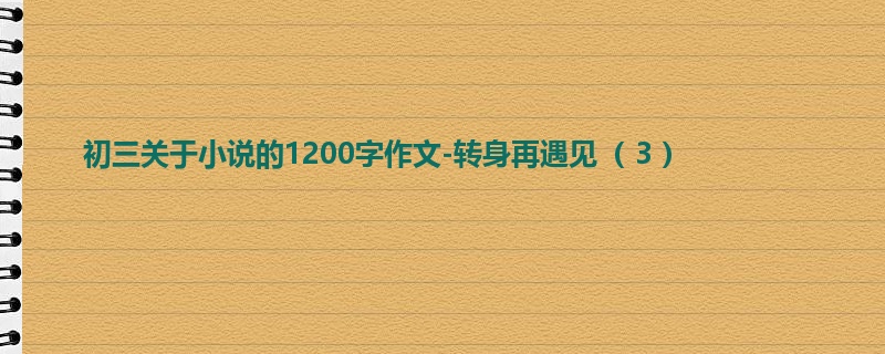 初三关于小说的1200字作文-转身再遇见( 3 )