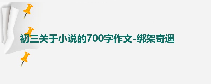 初三关于小说的700字作文-绑架奇遇