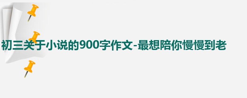 初三关于小说的900字作文-最想陪你慢慢到老