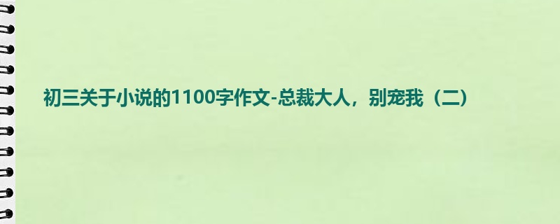 初三关于小说的1100字作文-总裁大人,别宠我(二)