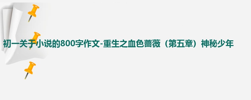 初一关于小说的800字作文-重生之血色蔷薇(第五章)神秘少年