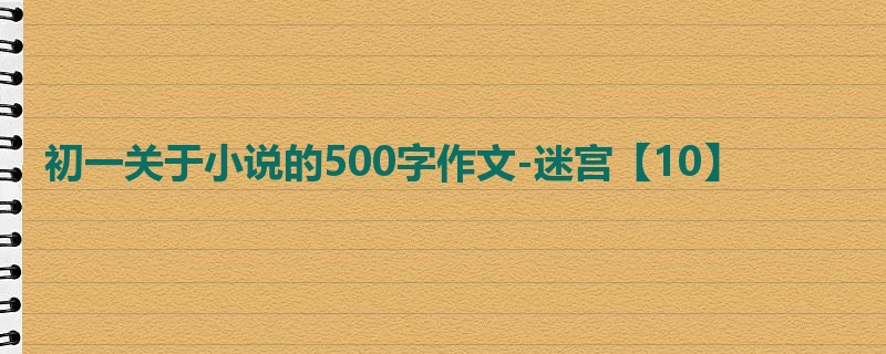初一关于小说的500字作文-迷宫【10】