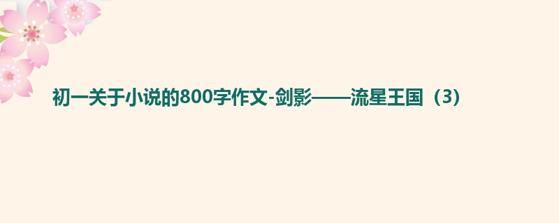 初一关于小说的800字作文-剑影——流星王国(3)