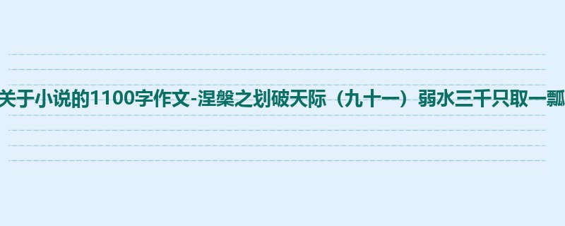 初一关于小说的1100字作文-涅槃之划破天际(九十一)弱水三千只取一瓢