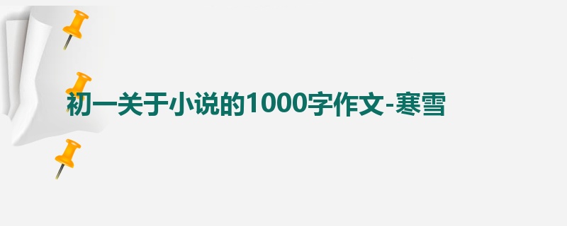 初一关于小说的1000字作文-寒雪