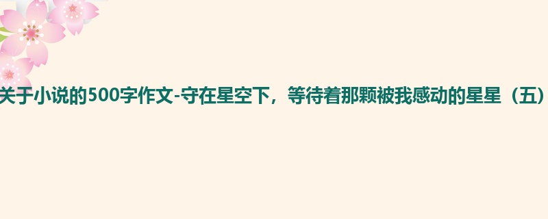 初一关于小说的500字作文-守在星空下,等待着那颗被我感动的星星(五)