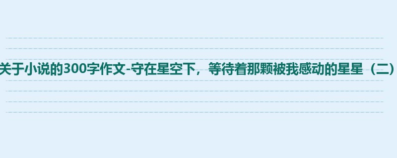 初一关于小说的300字作文-守在星空下,等待着那颗被我感动的星星(二)