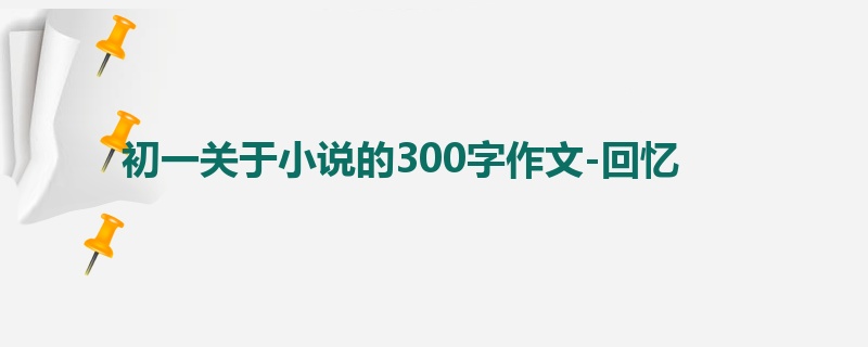 初一关于小说的300字作文-回忆