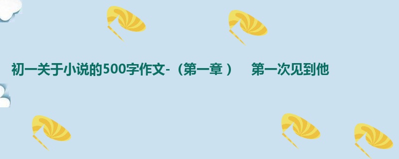 初一关于小说的500字作文-(第一章 ) 第一次见到他