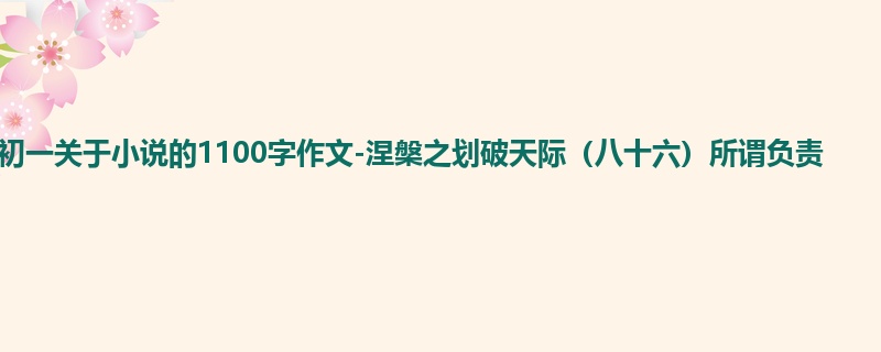 初一关于小说的1100字作文-涅槃之划破天际(八十六)所谓负责