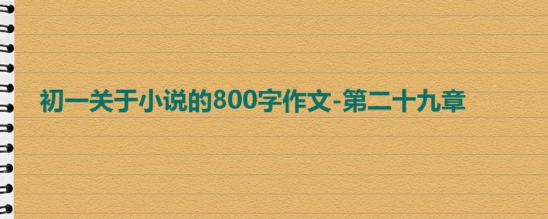 初一关于小说的800字作文-第二十九章