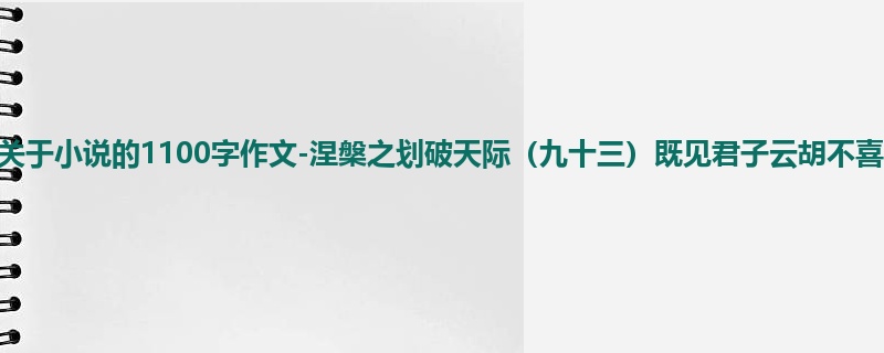 初一关于小说的1100字作文-涅槃之划破天际(九十三)既见君子云胡不喜