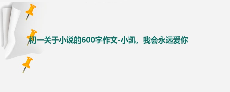 初一关于小说的600字作文-小凯,我会永远爱你