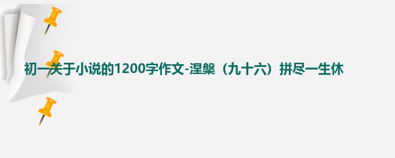初一关于小说的1200字作文-涅槃(九十六)拼尽一生休
