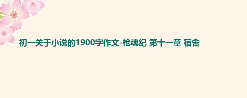 初一关于小说的1900字作文-枪魂纪 第十一章 宿舍