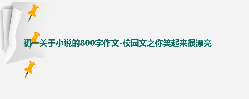 初一关于小说的800字作文-校园文之你笑起来很漂亮