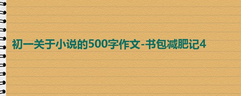 初一关于小说的500字作文-书包减肥记4