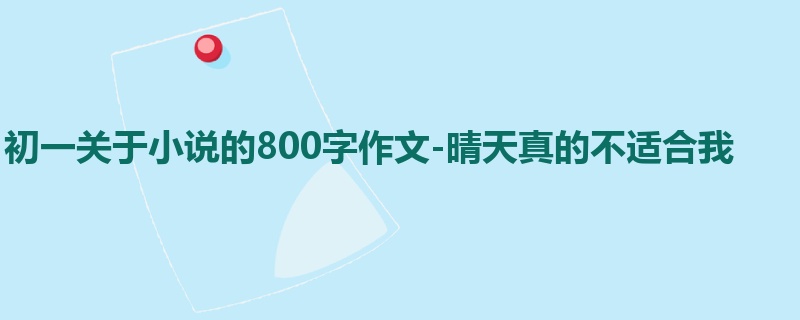 初一关于小说的800字作文-晴天真的不适合我