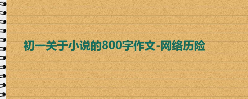 初一关于小说的800字作文-网络历险