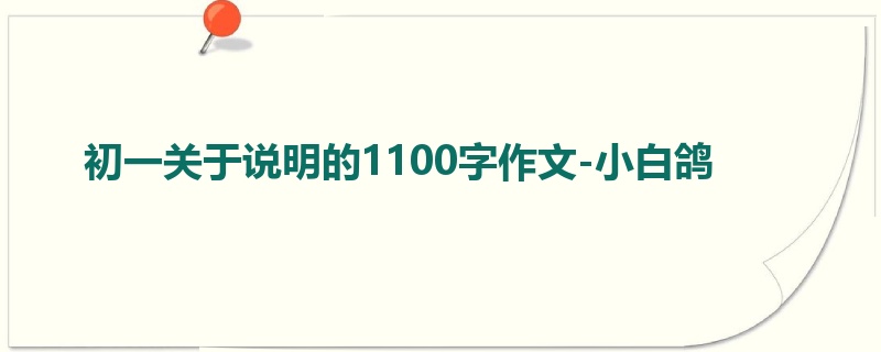 初一关于说明的1100字作文-小白鸽