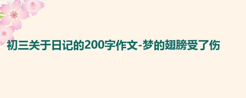 初三关于日记的200字作文-梦的翅膀受了伤