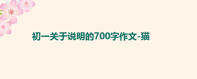 初一关于说明的700字作文-猫