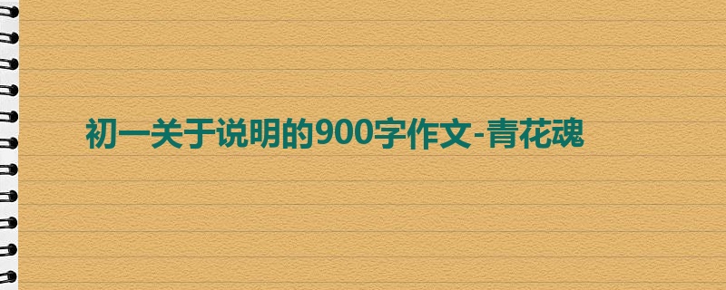 初一关于说明的900字作文-青花魂