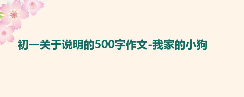 初一关于说明的500字作文-我家的小狗