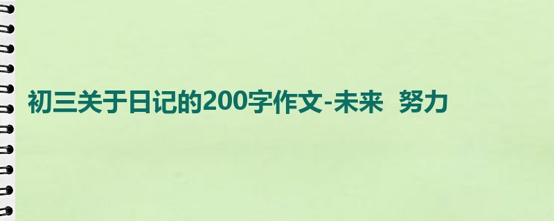 初三关于日记的200字作文-未来 努力