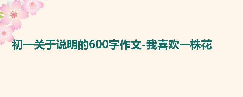 初一关于说明的600字作文-我喜欢一株花