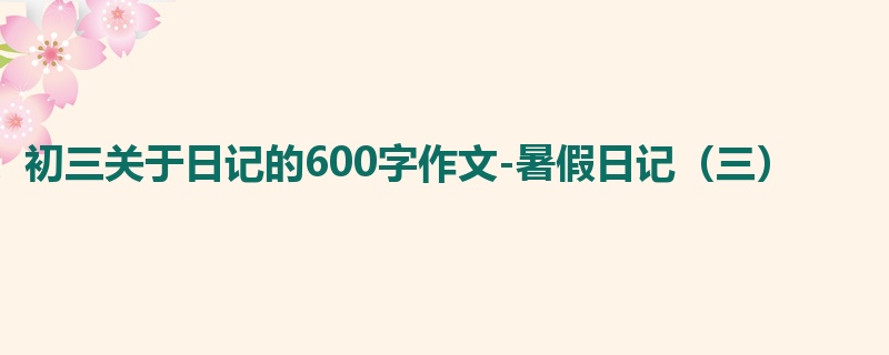 初三关于日记的600字作文-暑假日记(三)