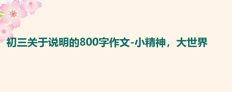 初三关于说明的800字作文-小精神,大世界