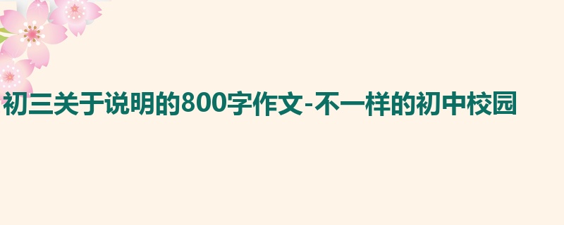 初三关于说明的800字作文-不一样的初中校园