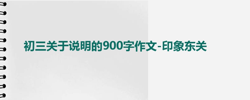 初三关于说明的900字作文-印象东关
