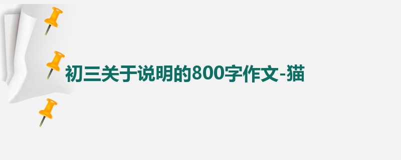 初三关于说明的800字作文-猫