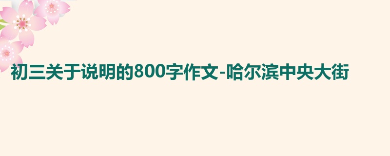 初三关于说明的800字作文-哈尔滨中央大街