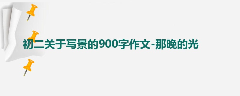 初二关于写景的900字作文-那晚的光