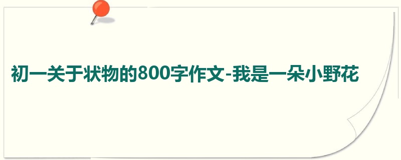 初一关于状物的800字作文-我是一朵小野花