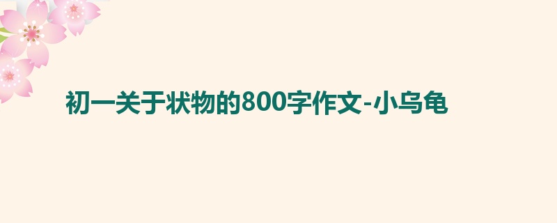 初一关于状物的800字作文-小乌龟