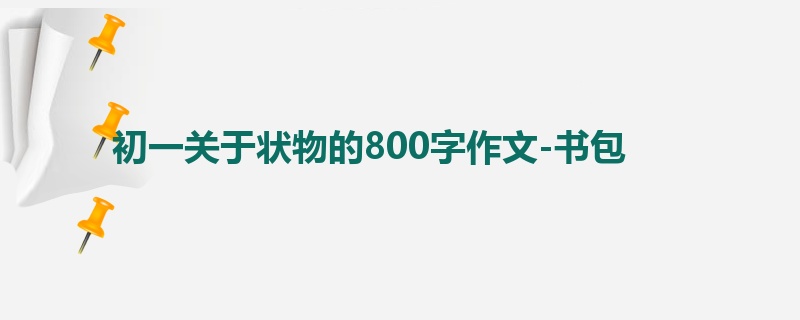 初一关于状物的800字作文-书包