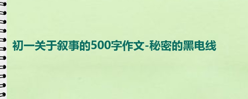 初一关于叙事的500字作文-秘密的黑电线