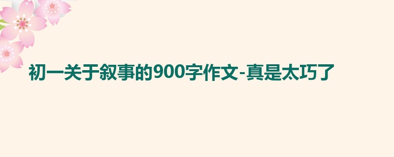 初一关于叙事的900字作文-真是太巧了