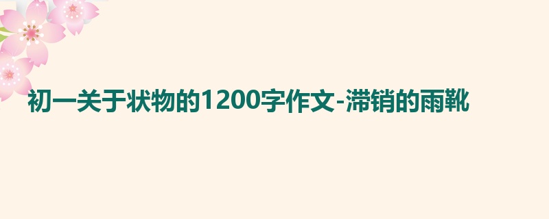 初一关于状物的1200字作文-滞销的雨靴