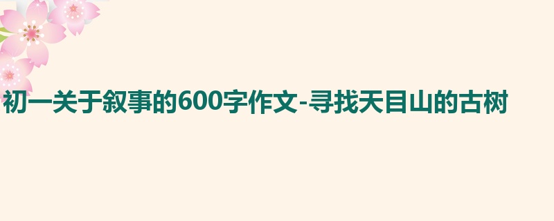 初一关于叙事的600字作文-寻找天目山的古树