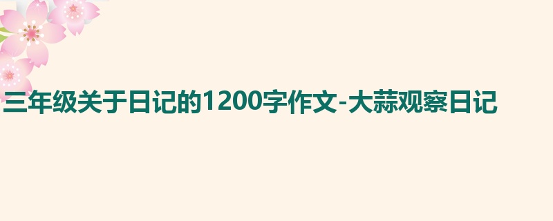 三年级关于日记的1200字作文-大蒜观察日记